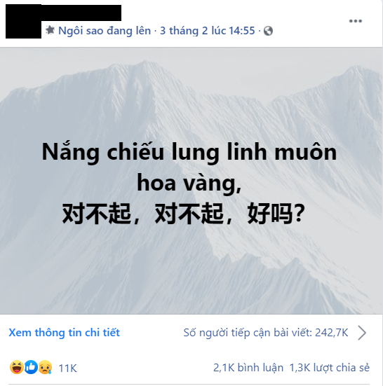 Nắng chiếu lung linh muôn hoa vàng, bạn chưa biết giai điệu này đang viral thế nào là outtrend lắm luôn! - Ảnh 3.