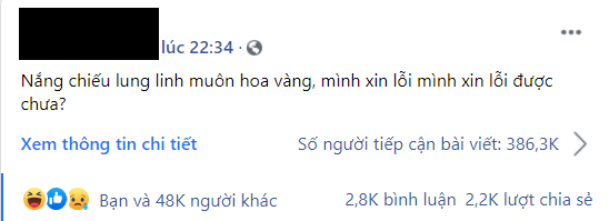 Nắng chiếu lung linh muôn hoa vàng, bạn chưa biết giai điệu này đang viral thế nào là outtrend lắm luôn! - Ảnh 2.