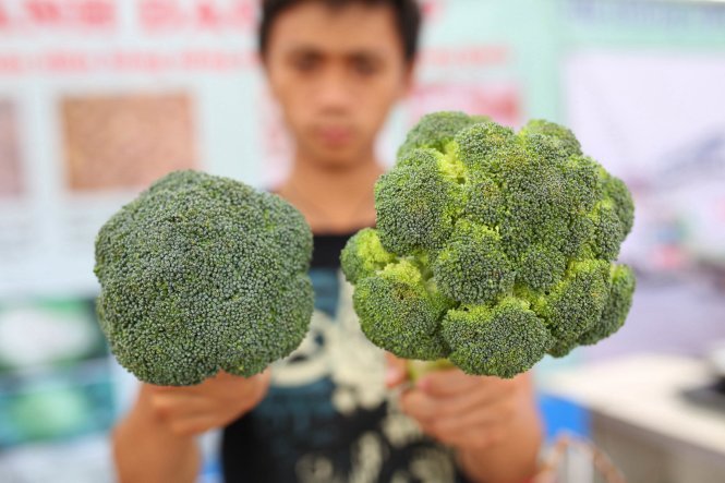 Mua bông cải xanh nhớ chú ý tới 3 đặc điểm để chọn được loại vừa ngon, vừa tươi - Ảnh 2.