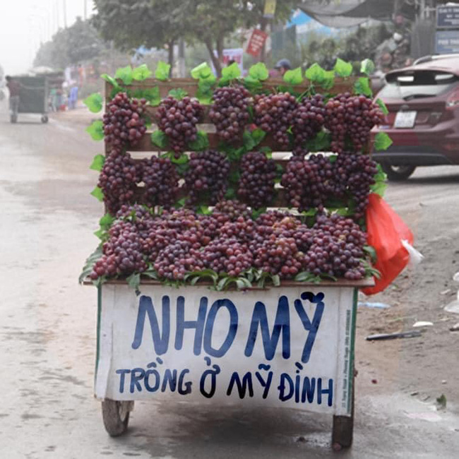 Hàng nho siêu to trên phố gây xoắn não người đi đường với biển hiệu giới thiệu xuất xứ “đọc xong cười quên mua luôn” - Ảnh 1.