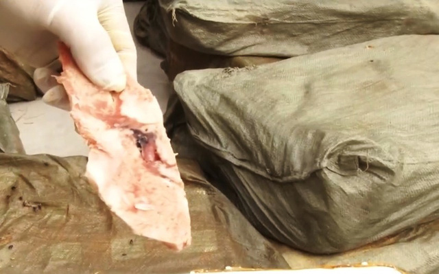 Phát hiện hơn 2 tấn nầm lợn nhập lậu có dấu hiệu bị phân hủy - Ảnh 1.