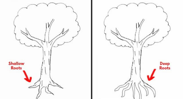 Đặt bút vẽ một chiếc cây, mỗi người cho ra một tác phẩm riêng: Bạn có biết tác phẩm của người hướng nội khác người hướng ngoại ở điểm nào không? - Ảnh 1.