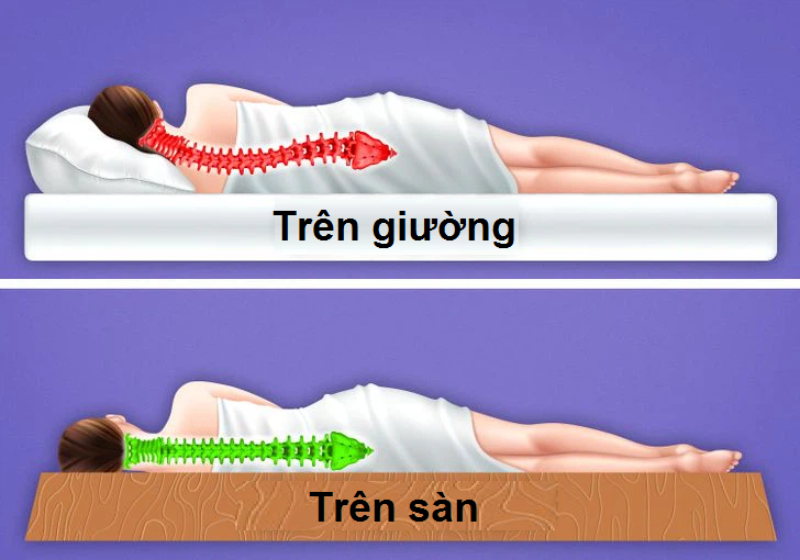 Tại sao người Nhật thường ngủ không cần giường? Đây là 4 lý do khiến bạn muốn thử nằm đất một hôm xem sao - Ảnh 2.