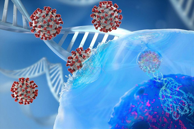 Pháp phát hiện biến chủng SARS-CoV-2 mới có khả năng “qua mặt” xét nghiệm PCR - Ảnh 1.