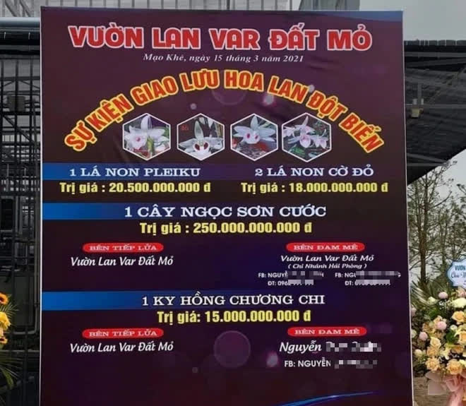 Quảng Ninh: Công an xác minh màn giao dịch lan đột biến trị giá gần 300 tỷ đồng - Ảnh 2.