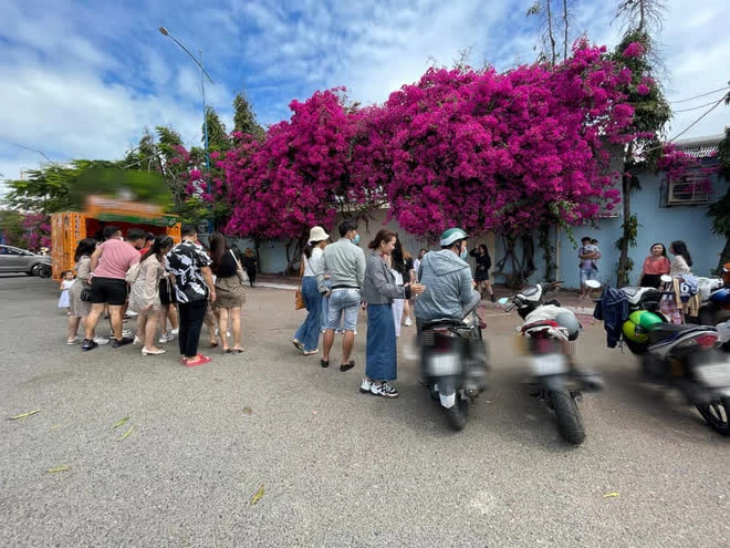 Giàn hoa giấy cực phẩm ở Vũng Tàu sau khi gây bão: Đông nghẹt người kéo tới check-in, muốn có hình đẹp phải chịu khó… xếp hàng? - Ảnh 4.