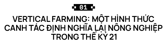 Sẽ thế nào khi rau được trồng trong nhà máy, bằng robot, AI và thế hệ nông dân 4.0? - Ảnh 2.