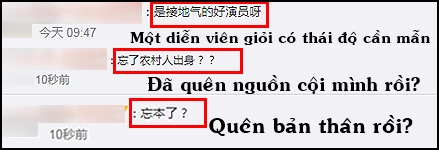 Netizen mắng Triệu Lệ Dĩnh quên nguồn cội vì không biết cày ruộng ở phim mới, visual bắt nắng cũng chả cứu nổi? - Ảnh 6.