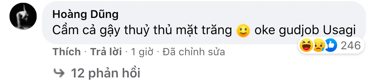 Xuất hiện thủy thủ mặt trăng hát Nàng Thơ bolero nghe quên luôn bản gốc, Hoàng Dũng cũng vào khen gút chóp - Ảnh 4. Xuất hiện thủy thủ mặt trăng hát Nàng Thơ bolero nghe quên luôn bản gốc, Hoàng Dũng cũng vào khen gút chóp - Ảnh 4.