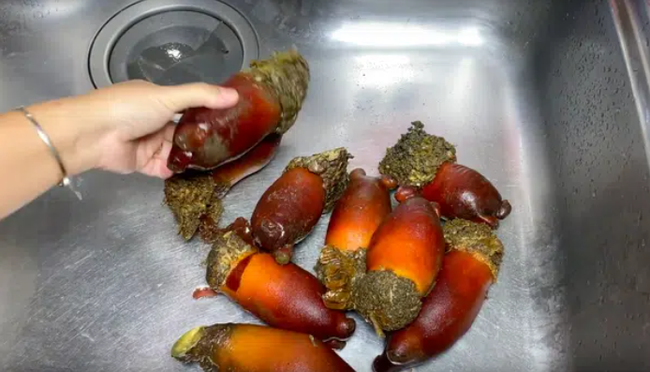 Việc nhẹ lương cao ở Hàn Quốc: Đứng tuốt loại sinh vật kỳ lạ ngay trên biển, nhận 50 triệu/tháng!? - Ảnh 6.