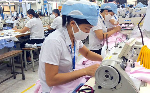 Năng suất lao động Việt Nam tụt hậu 60 năm so với Nhật Bản, 40 năm so với Malaysia - Ảnh 1.