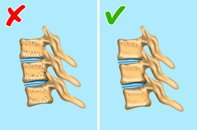 Vì sao người Nhật Bản thường ngồi bệt xuống sàn để ăn? - Ảnh 3.