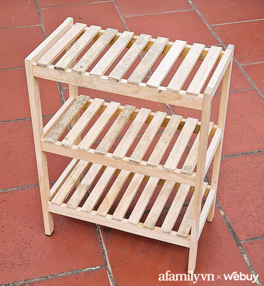 Th&iacute;ch th&uacute; mua kệ gi&agrave;y gỗ th&ocirc;ng gi&aacute; chỉ 150k, qua m&ugrave;a nồm mới biết mặt nhau - Ảnh 3.