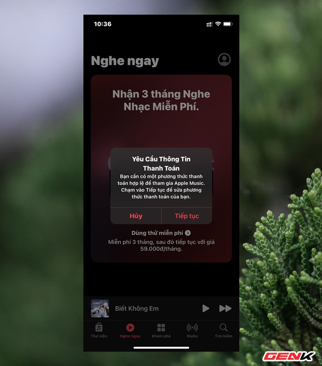 Cách đăng ký nhận 3 tháng dùng thử miễn phí Apple Music trên iPhone - Ảnh 5.