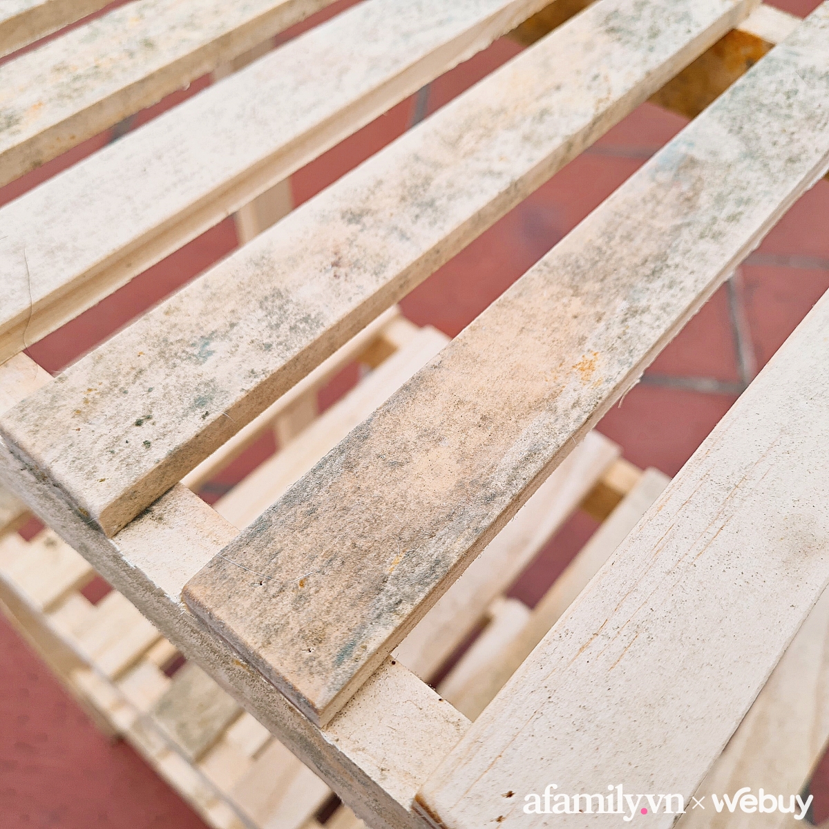 Th&iacute;ch th&uacute; mua kệ gi&agrave;y gỗ th&ocirc;ng gi&aacute; chỉ 150k, qua m&ugrave;a nồm mới biết mặt nhau - Ảnh 4.