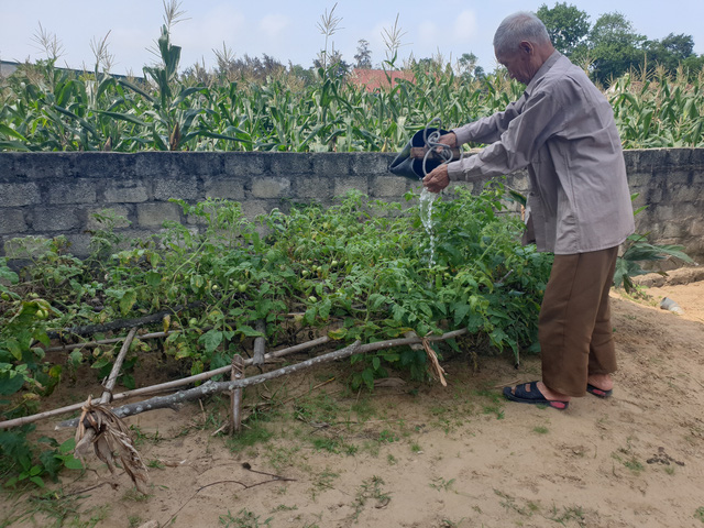 Hy hữu 5 chị em ruột ở Hà Tĩnh có tuổi thọ từ 85 đến 97 đều khỏe mạnh, minh mẫn - Ảnh 5.