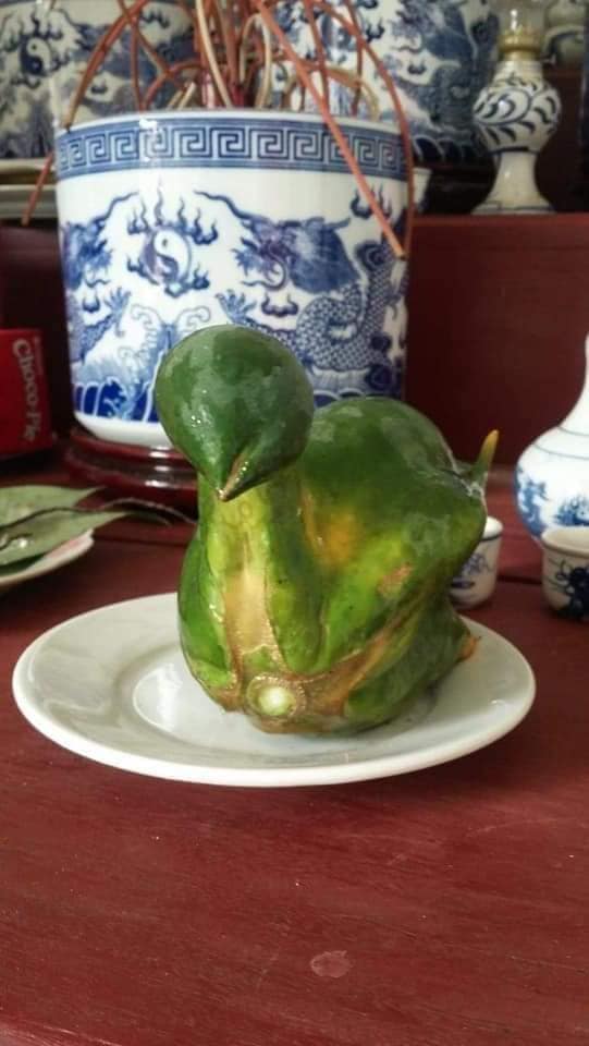 Quả đu đủ hiếm thấy nhất Việt Nam, uốn &eacute;o th&agrave;nh h&igrave;nh nguy&ecirc;n con g&agrave; luộc, nhiều người bảo phải chi nh&acirc;n được giống th&igrave; mỗi dịp c&uacute;ng kiếng đắt kh&aacute;ch phải biết - Ảnh 2.