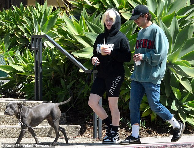 HOT: Billie Eilish lộ ảnh hẹn hò với mỹ nam hơn 10 tuổi, profile bạn trai có đẳng cấp hơn Công chúa Grammy? - Ảnh 4.