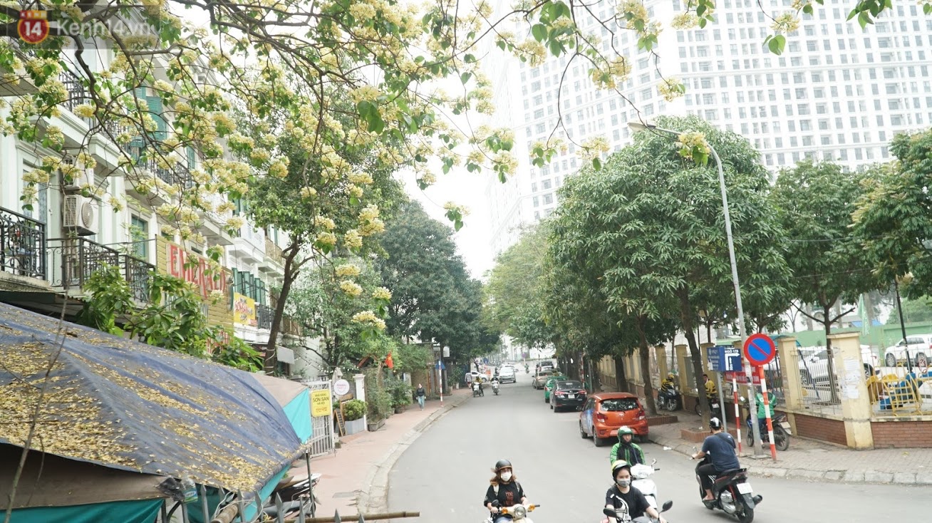 After his cold, people were able to admire the unique treasure of noodle flowers that exuded a blooming fragrance in the heart of Hanoi - Photo 9.