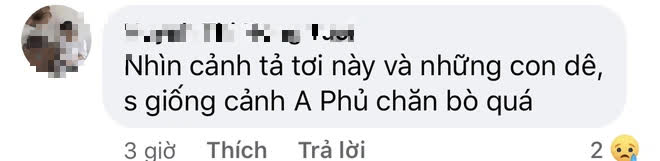 Đen Vâu vừa tung teaser bài hát mới, sĩ tử 2k3 đã đặt trọn niềm tin cầu trúng đề - Ảnh 8.