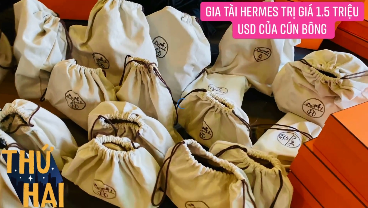 Hot mom nhiều t&uacute;i Herm&egrave;s hơn cả Ngọc Trinh h&eacute; lộ gia t&agrave;i t&uacute;i hơn 30 tỷ, nhiều mẫu hot hit chưa chắc c&oacute; tiền đ&atilde; mua được - Ảnh 2.