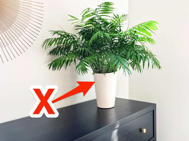 Mắc phải 6 sai lầm này thì đồ nội thất có đắt đến mấy vẫn sẽ đội nón ra đi như thường - Ảnh 3.