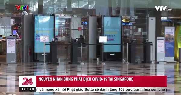Vì sao dịch COVID-19 lại bùng phát tại Singapore? - Ảnh 1.