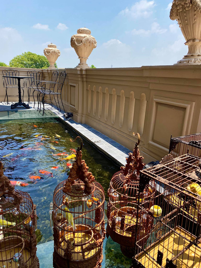 Biệt thự phố cổ Hà Nội của đại gia thời trang Chương Tailor: Xây bể cá Koi 5 tỷ ở ban công, dành nguyên tầng điều hòa nuôi chim đột biến - Ảnh 6.