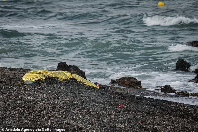 Người trong cuộc kể về bức ảnh em bé sơ sinh trong đoàn di cư được cứu từ biển: Đứa trẻ lạnh cóng, không cử động - Ảnh 4.