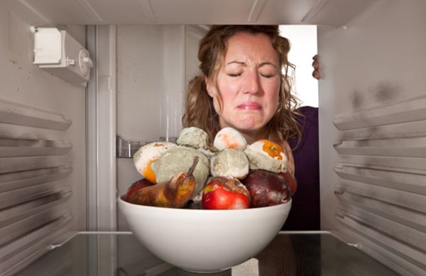 Tủ lạnh là vật dụng bẩn số 1 trong nhà bếp: Có 2 món được lấy ra từ tủ lạnh dễ gây ung thư dạ dày - Ảnh 1.