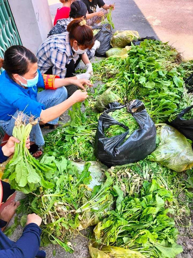 Cụ chỉ có quả đu đủ, các con đi tình nguyện thì mang cho công nhân đang cách ly giùm cụ - Ảnh 4.