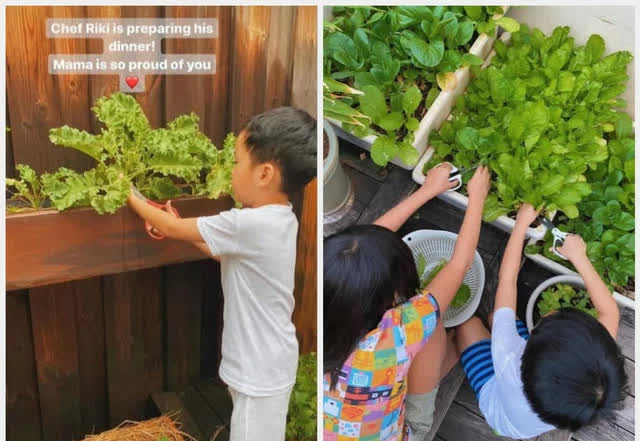 Hình ảnh nhá hàng tổ ấm triệu đô của Tăng Thanh Hà: Có bể bơi ngoài trời, sân vườn với đủ loại hoa cỏ, cây trái khiến ai cũng thích mê - Ảnh 11.