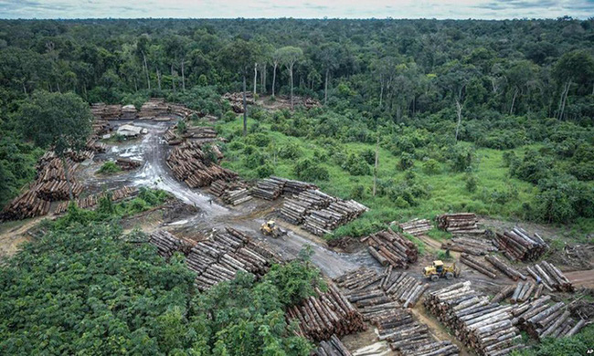 Rừng Amazon tại Brazil bị tàn phá hơn 580 km2 - Ảnh 1.