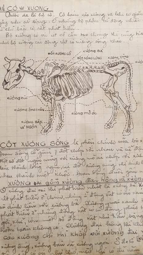 Cuốn vở Sinh học cách đây 64 năm: Ghi chép siêu nghệ thuật, hình vẽ đẹp mê hồn khiến học trò trỗi dậy động lực học hành! - Ảnh 10.