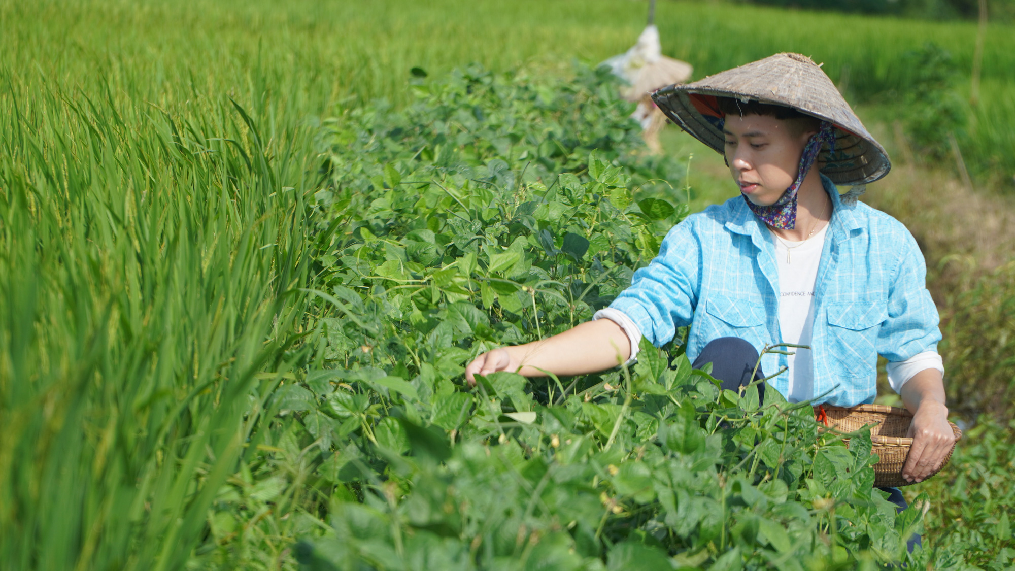 Những kênh ẩm thực theo trend bỏ phố về quê đầy thi vị, mùa dịch ở nhà ai thích nuôi cá, trồng rau thì nhấn subscribe ngay! - Ảnh 12.