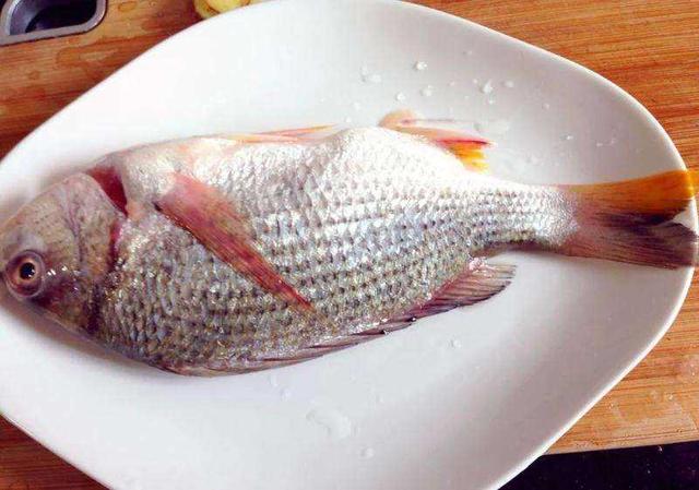 3 loại cá là bể chứa chất gây ung thư và kim loại nặng tuyệt đối đừng nên mua, nhưng nhiều người không biết vẫn ăn hàng ngày - Ảnh 1.