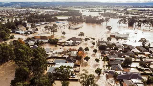 Vì sao hàng loạt mạng nhện phủ trắng các khu vực của bang Victoria, Australia? - Ảnh 2.