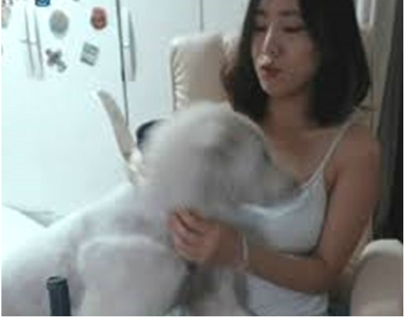 Livestream cảnh tắm trần nhưng dùng cửa sổ chat che cảnh xuân, nữ streamer vẫn thoát án phạt khiến người xem phẫn nộ - Ảnh 5.