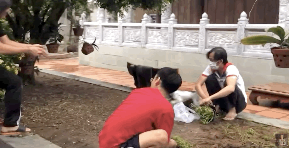 Lộ khoảnh khắc NS Ho&agrave;i Linh &acirc;m thầm l&agrave;m vườn, xuất hiện với vẻ ngo&agrave;i tiều tuỵ giữa l&ugrave;m x&ugrave;m giải ng&acirc;n 13,7 tỷ đồng - Ảnh 3.