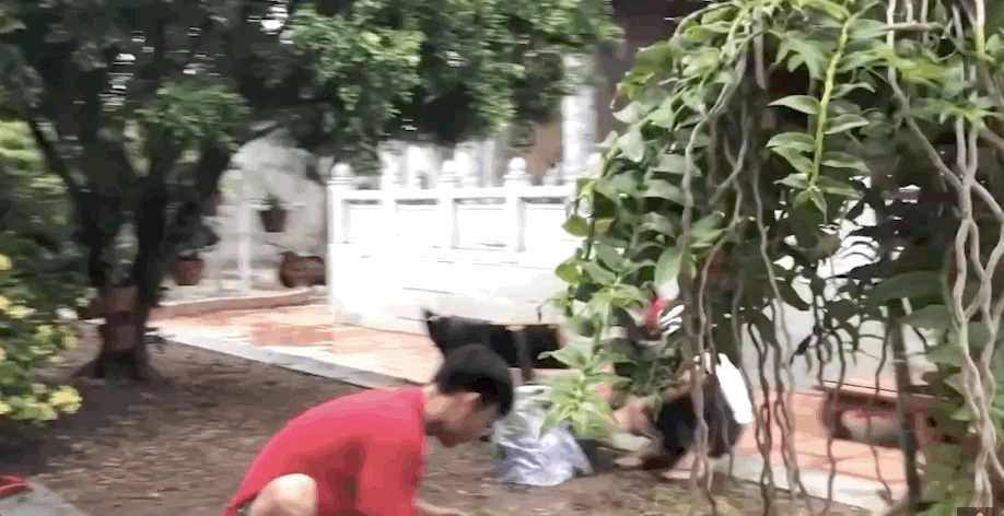 Lộ khoảnh khắc NS Ho&agrave;i Linh &acirc;m thầm l&agrave;m vườn, xuất hiện với vẻ ngo&agrave;i tiều tuỵ giữa l&ugrave;m x&ugrave;m giải ng&acirc;n 13,7 tỷ đồng - Ảnh 2.