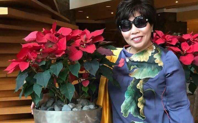 Chân dung doanh nhân Lê Thị Giàu - người khởi kiện đòi bà Phương Hằng 1.000 tỷ - Ảnh 2.