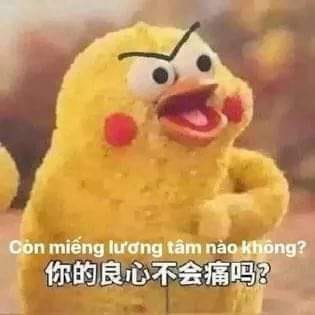 Meme chú gà Còn miếng lương tâm nào không? gây sốt MXH: Gia đình đông dân, không từ Trung Quốc cũng không phải... gà! - Ảnh 1.