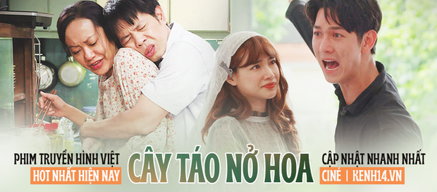 Chẳng biết ngày nào Cây Táo Nở Hoa nhưng khán giả bế tắc vì drama lắm rồi anh Ngọc ơi! - Ảnh 9.