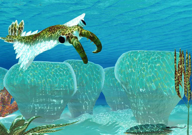 Nắng n&oacute;ng c&oacute; thể l&agrave; kẻ s&aacute;t nh&acirc;n h&agrave;ng loạt, kh&ocirc;ng k&eacute;m COVID-19 - Ảnh 1.