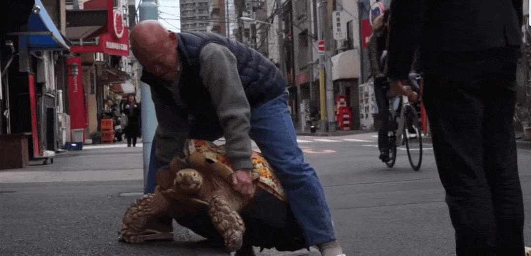 Ông lão người Nhật nuôi con rùa nặng 70kg, quãng đường 5 phút đi mất 3 tiếng: Sống chậm lại, cuộc đời quả thực đáng yêu hơn bạn nghĩ - Ảnh 17.