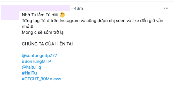 Nửa đ&ecirc;m nửa h&ocirc;m, netizen đẩy hashtag Hải T&uacute; l&ecirc;n thẳng #1 Twitter Việt Nam, chuyện g&igrave; đ&acirc;y? - Ảnh 8.