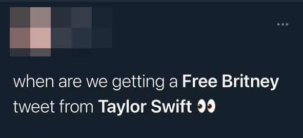 Taylor Swift bị chỉ tr&iacute;ch v&igrave; kh&ocirc;ng l&ecirc;n tiếng ủng hộ Britney Spears, liệu netizen c&oacute; đang đ&ograve;i hỏi qu&aacute; nhiều? - Ảnh 6.