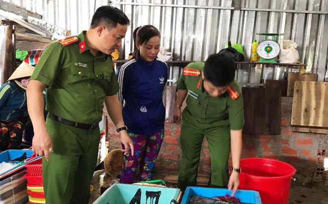Bắt quả tang người đàn ông vận chuyển hơn 600kg tôm sú chứa bột thạch Agar - Ảnh 1.