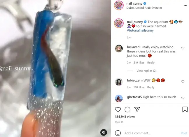 Tiệm nail bị chỉ trích vì nhét cá còn sống vào móng tay của khách, hứa sẽ bảo hành nếu... cá chết - Ảnh 2. Tiệm nail bị chỉ trích vì nhét cá còn sống vào móng tay của khách, hứa sẽ bảo hành nếu... cá chết - Ảnh 2.