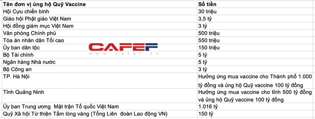 Golf Long Thành, Vingroup, Viettel, PVN, EVN, SCIC...hàng chục doanh nghiệp, ngân hàng, tổ chức, cá nhân đã ủng hộ hơn 7.600 tỷ ngay tại Lễ ra mắt Quỹ vaccine chống Covid-19 - Ảnh 3.